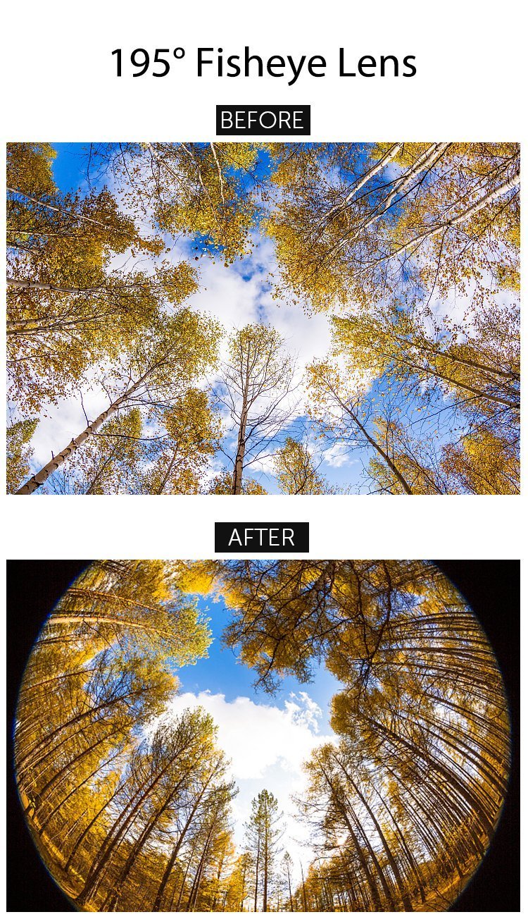 195° Super Fisheye Lens - Image 4