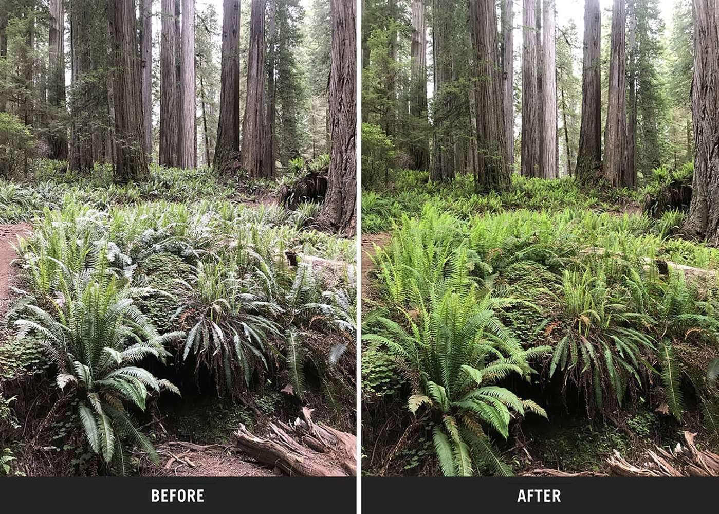 CPL Filter for HB5 Series - Image 5